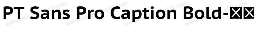 PT Sans Pro Caption Bold字体转换